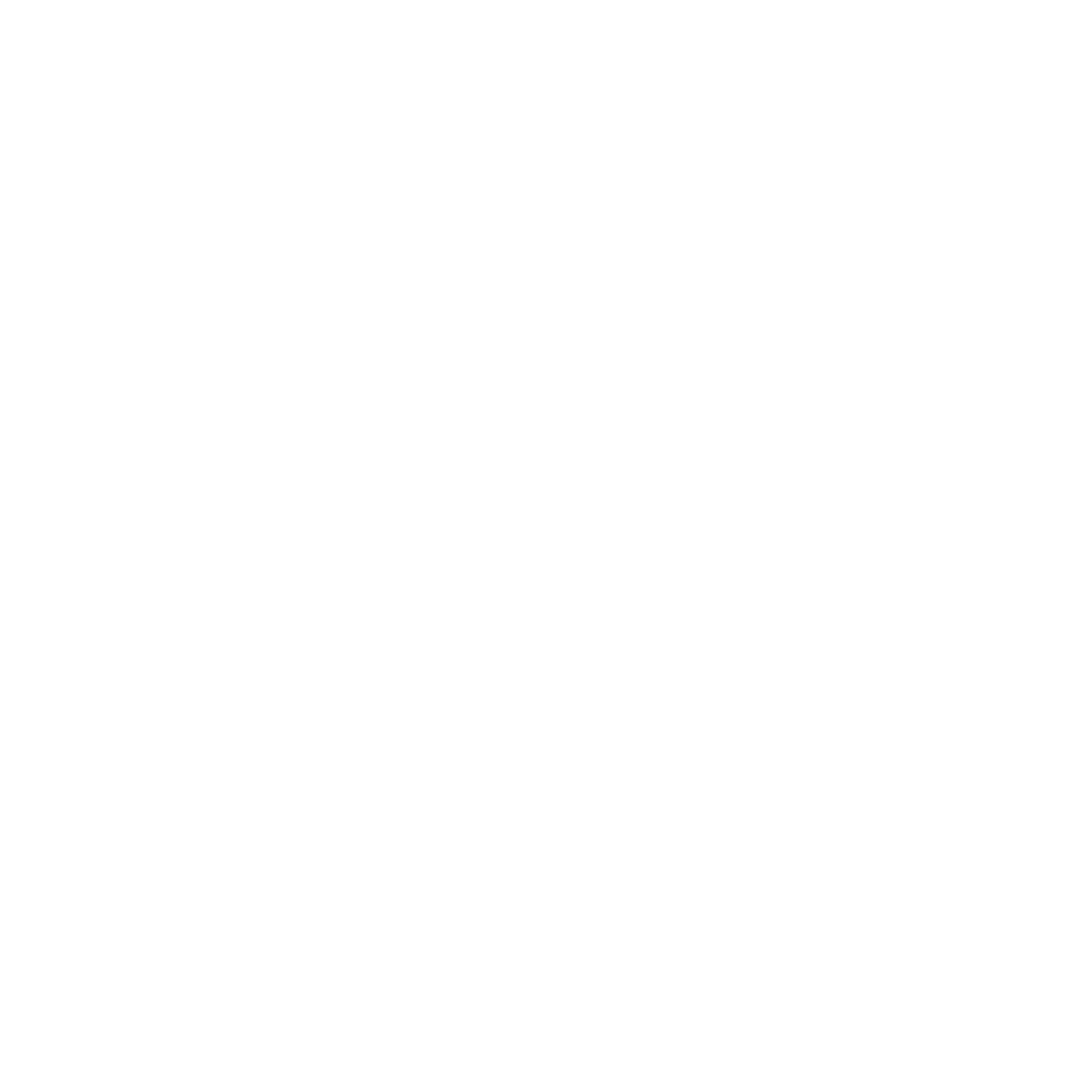 Carrera de empresas